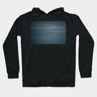 Geese in silhouette Hoodie